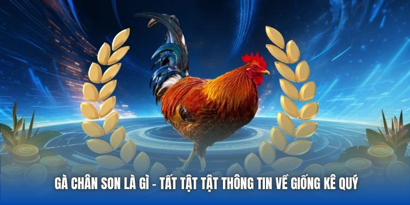 Khám Phá 88clb Trang Chủ - Nơi Tập Hợp Đam Mê Thể Thao Và Cộng Đồng